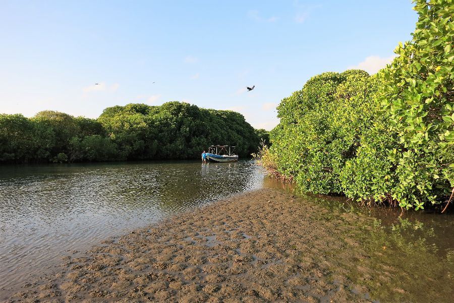 83. photo gallery.JPG